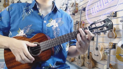 How Can You Tell A Good Quality Ukulele? Unveiling the Traits of a Top-notch Ukulele for Discerning Players.