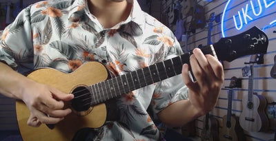 Exploring Elegance and Melody: aNueNue Cedar Bird Tenor Ukulele UT214 Review