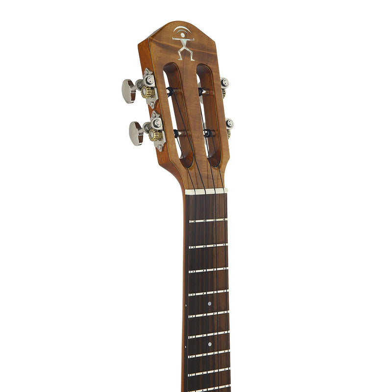 aNueNue Hawaiian Koa Concert Electric Ukulele AKK2E