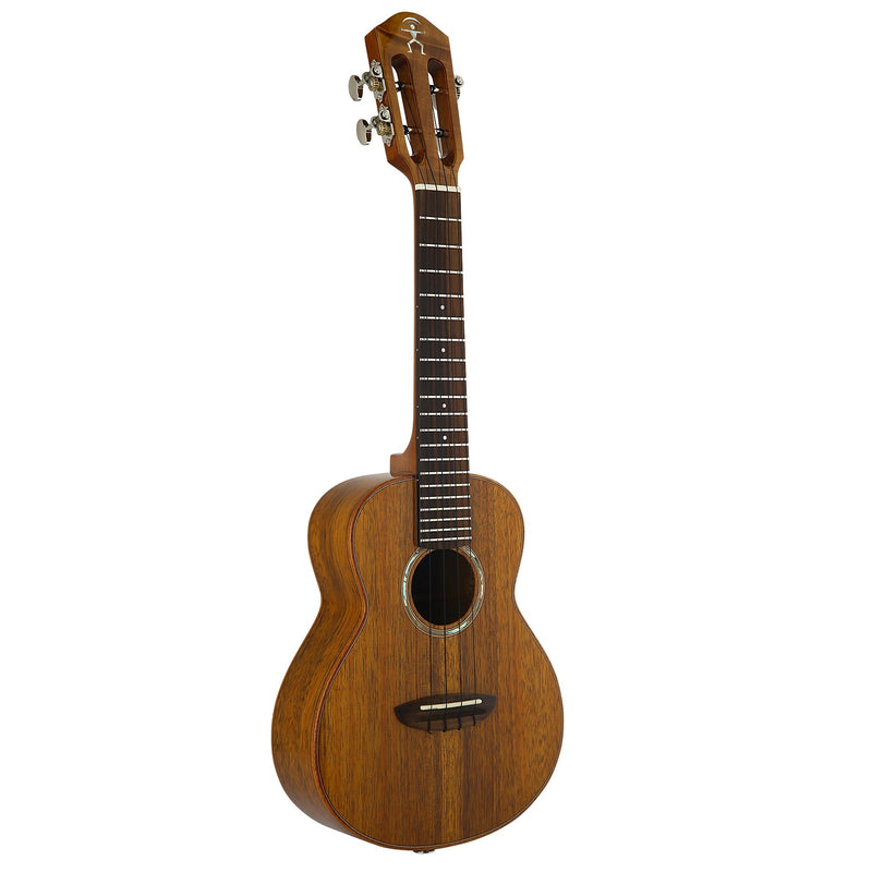 aNueNue Hawaiian Koa Concert Electric Ukulele AKK2E