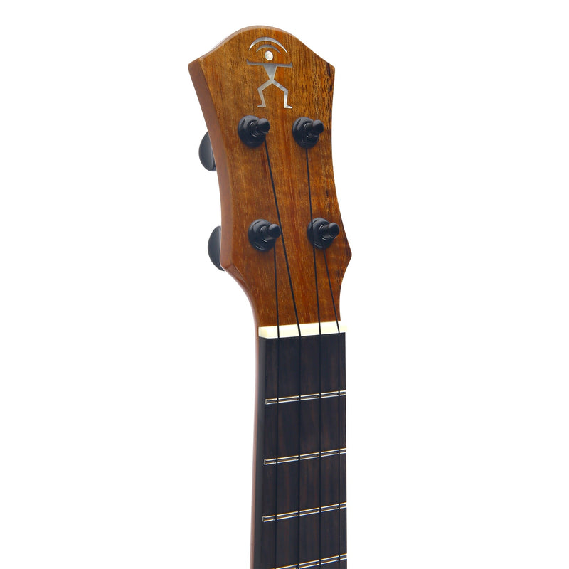 aNueNue Koa Bird Tenor Electric Ukulele UT1KE