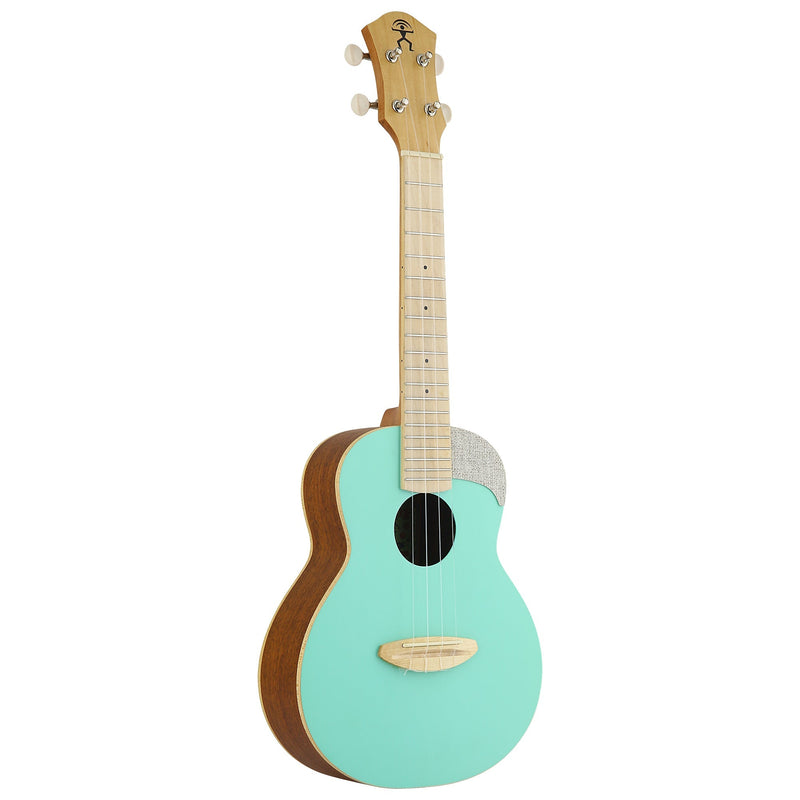 aNueNue UC10 Ice Green Concert Ukulele