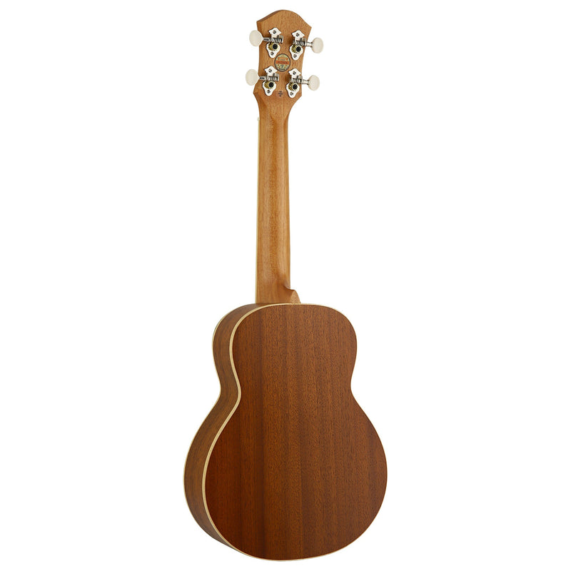 aNueNue UC10 Ice Green Concert Ukulele