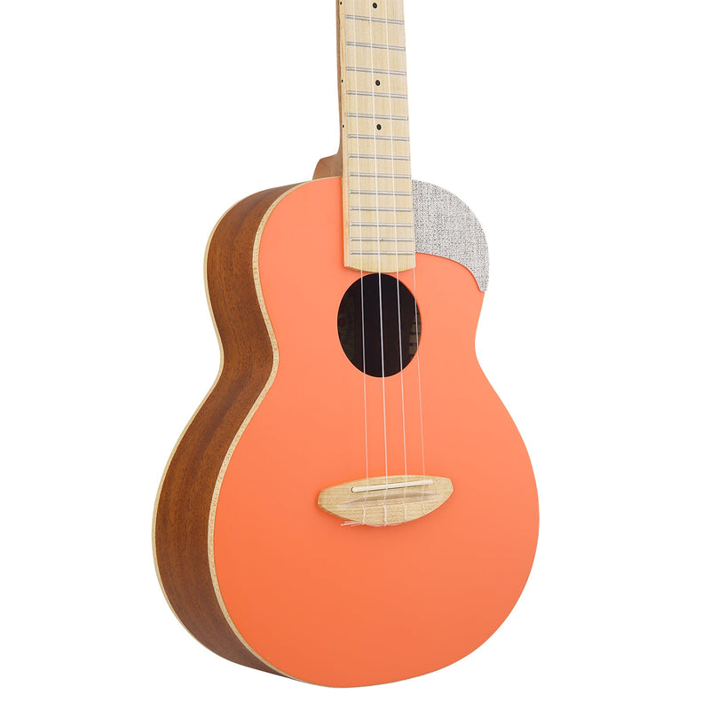 aNueNue UC10 Living Coral Concert Ukulele