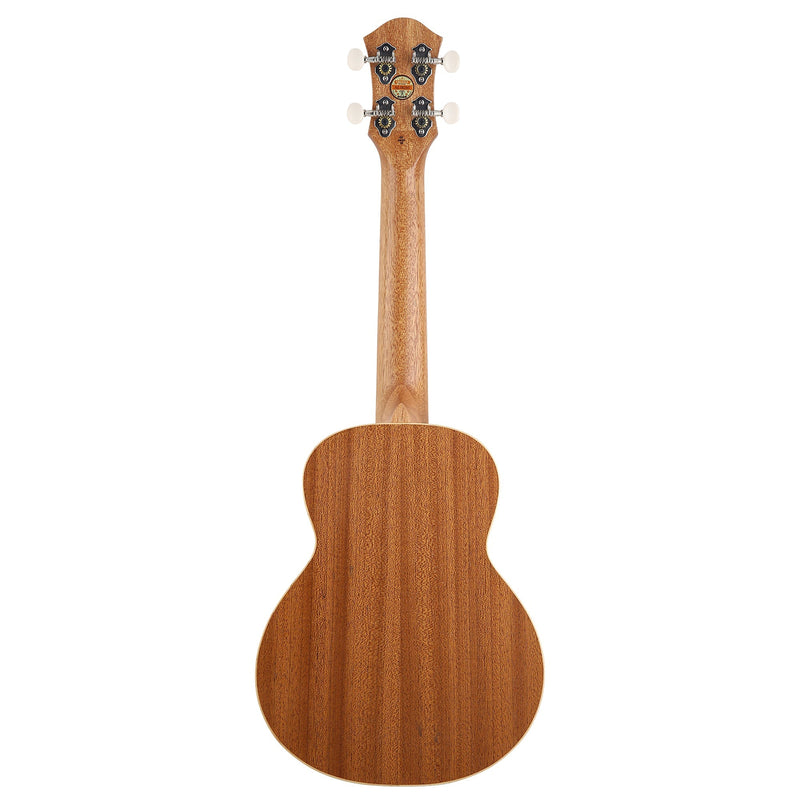 aNueNue UC10 Living Coral Concert Ukulele