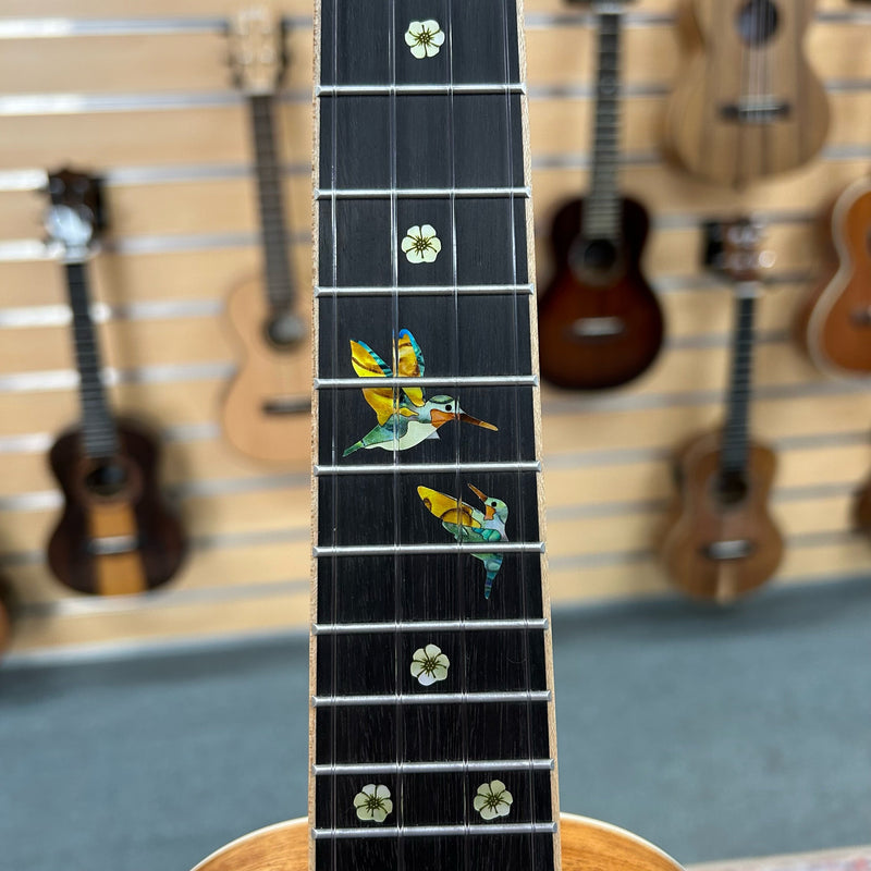 Bondi Hummingbird Concert Ukulele