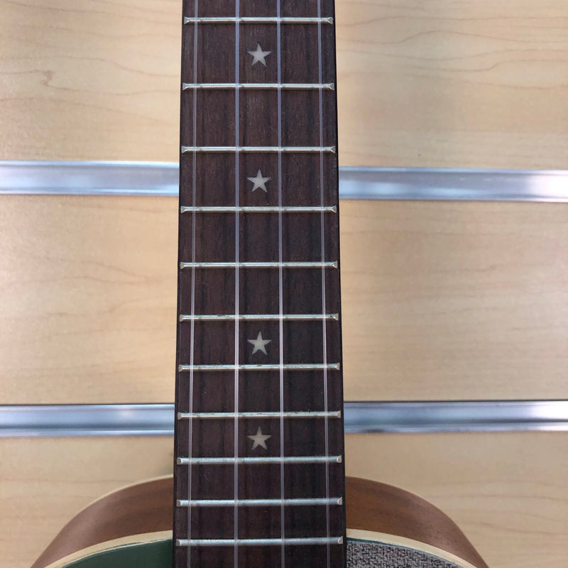 aNueNue UC10 Black Forest Concert Ukulele