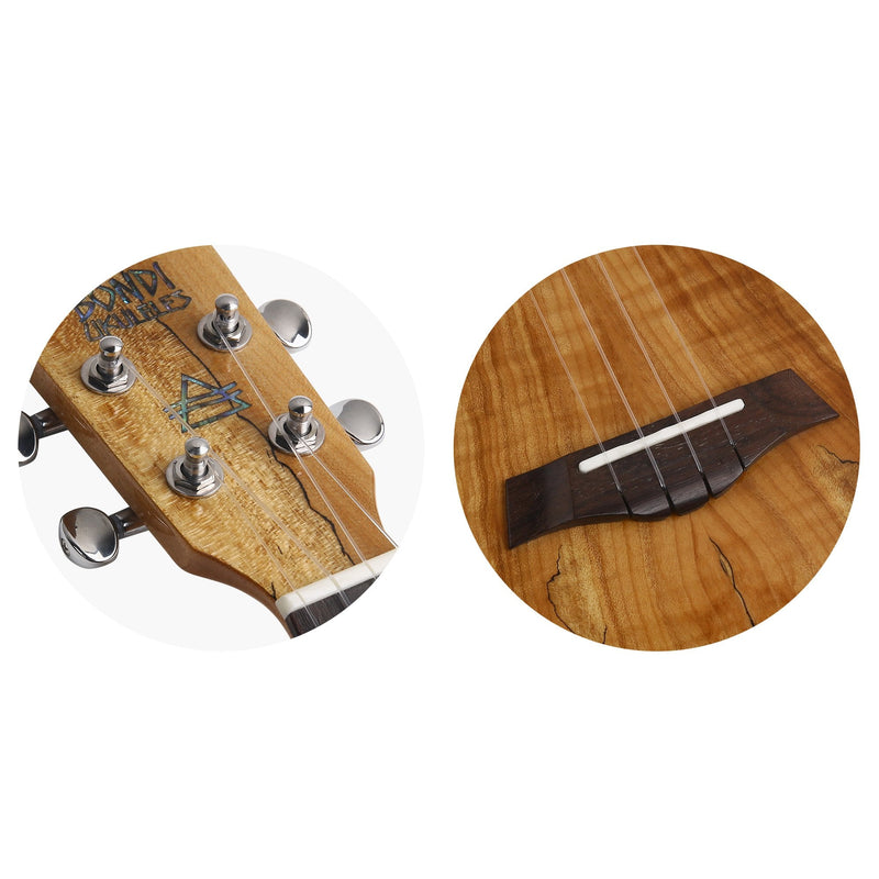 Bondi Spalted Maple Soprano Electric Ukulele