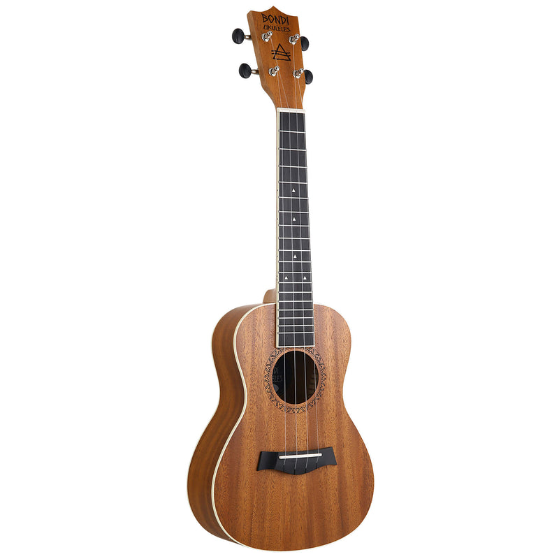 Ultimate Ukulele Starter Bundle - Concert Size