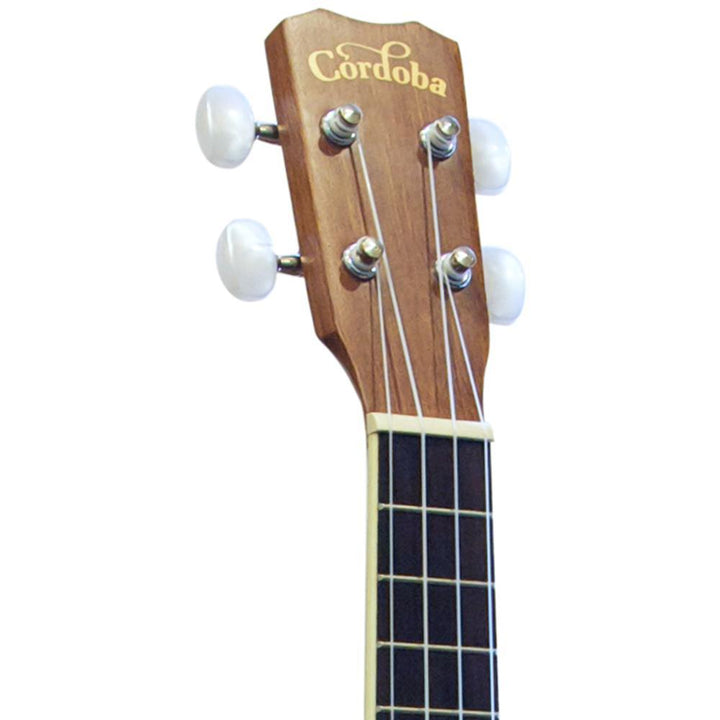 Cordoba 15sm cheap