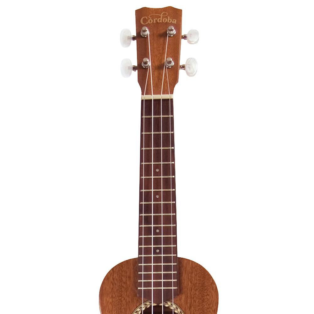 Cordoba 20sm clearance