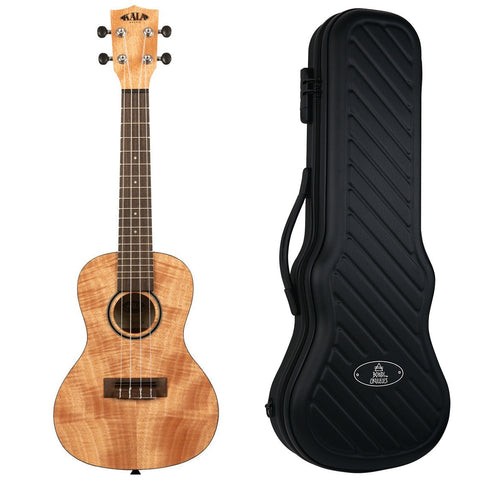 Shock-Rock Black Hard Case