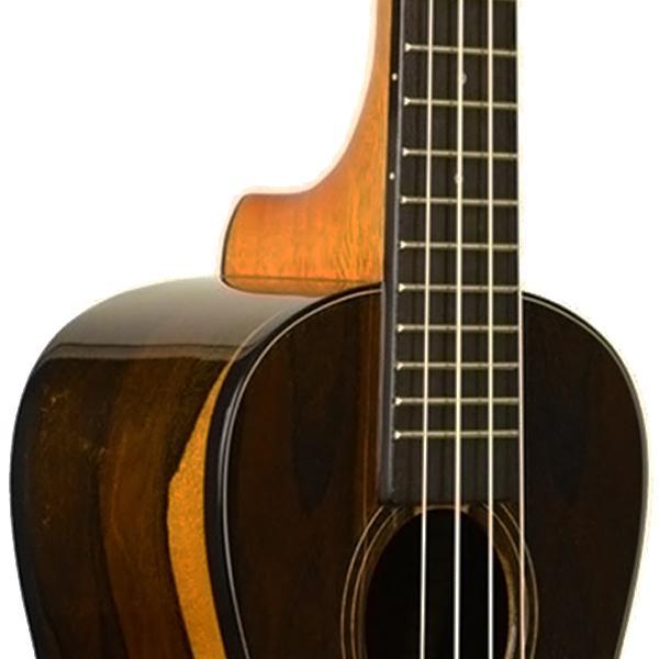 Kala Ziricote Concert Ukulele